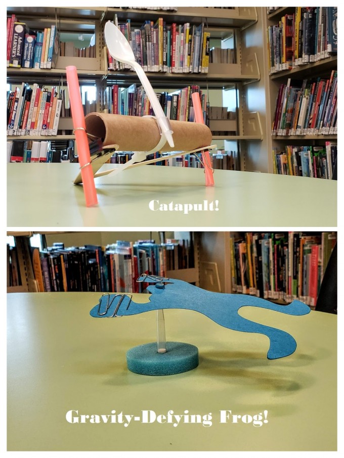 Gravity Defying Frog and Catapult Picture of Gravity Defying Frog and Catapult