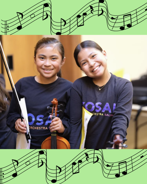 Two girls smiling with violins on a green background with music notes.