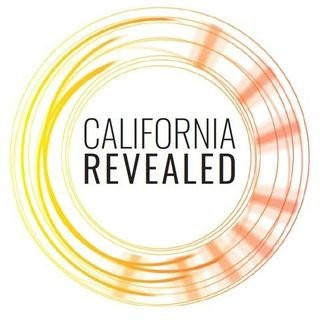 scribbled circle with strokes of an ombre yellow to orange to red effect with the text 'ca revealed' inside