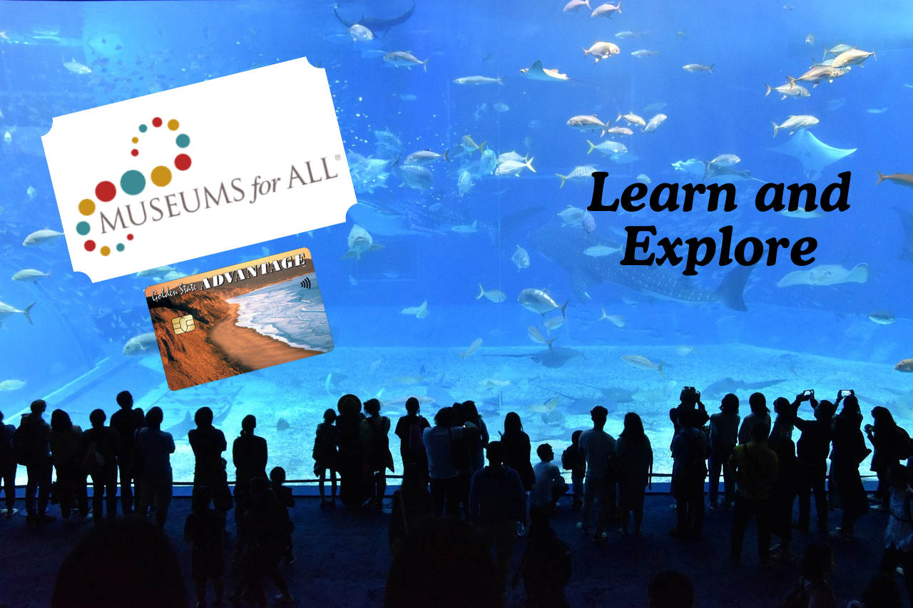___KEEP___Crowd-in-front-of-aquarium-tank-with-Museums-for-All-program-branded-ticket-and-CA-EBT-card-image-26